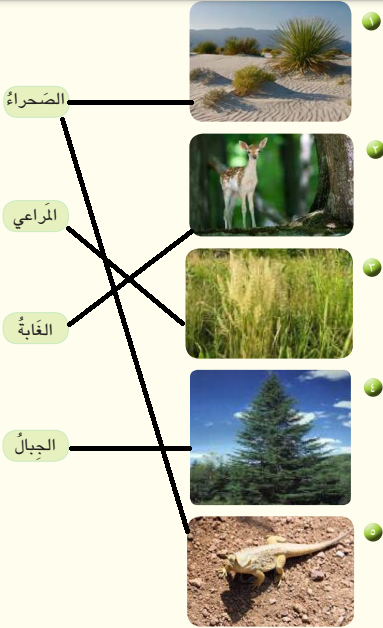أصل بين الكائن الحي وبيئته